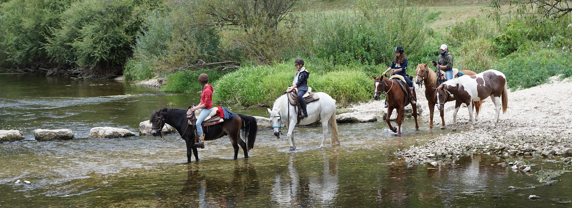 Pferde-Reiten